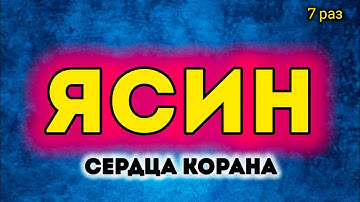 Сура Ясин سورة يس очень красивое чтение, слушайте утром и вечером каждый день!