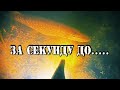 ПОДВОДНАЯ ОХОТА НОЧЬЮ. ОХОТА НА ЩУКУ. ОЗЕРО. ОСЕНЬ 2020.