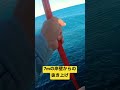 【注意！】危険なタモ入れ‥【カゴぶっこみ 釣り】