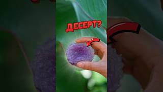 ? Секрет полупрозрачной оболочки! #еда #десерт #сладости