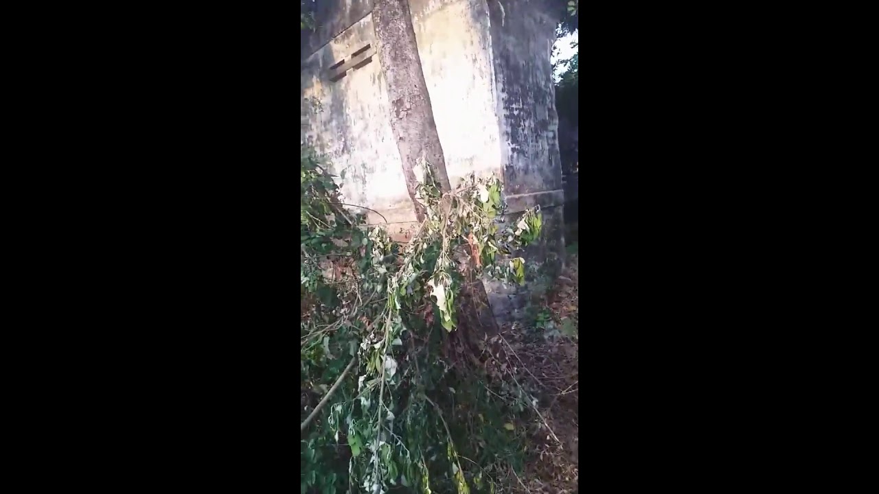65 Hantu Di Rumah Sakit Waluyo Jati Kraksaan HD