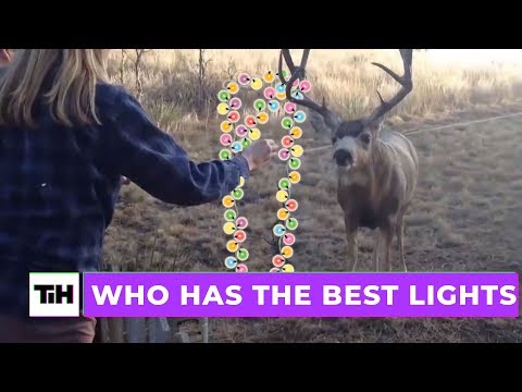 Who Has the Best Lights? | This is Happening