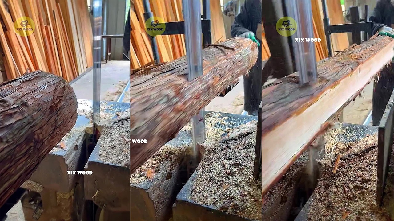 How Logs Are Turned into Wooden Planks – Full Sawmill Process EP723 ...