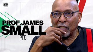 Prof. James Small Talks Immigrants Putting So Many Black People On The Unemployment Line Without....
