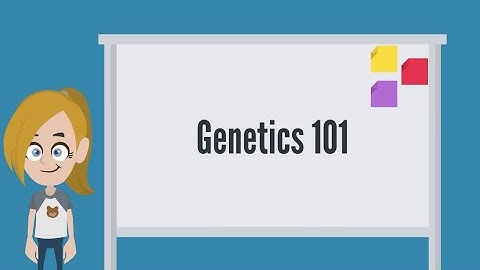 Genetics 101