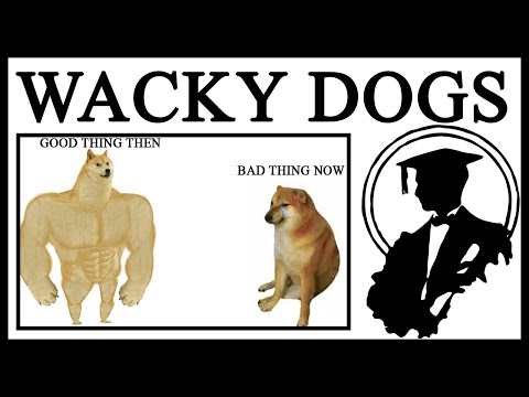 Who The HECK Are Swole Doge And Crying Cheems?