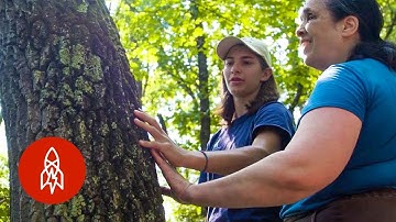 Braille Trails: Helping the Visually Impaired Experience Nature