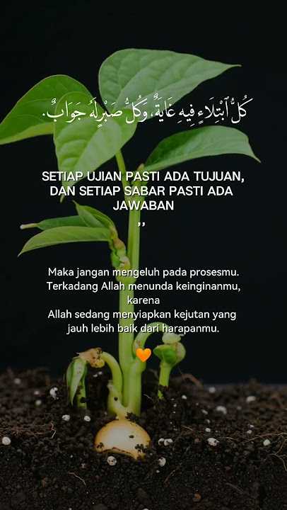 Maka jangan mengeluh pada prosesmu. #masukberanda #fromkatabijak #katamotivasi #quotes #info