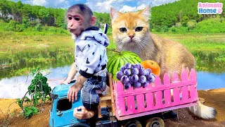 Naughty BiBi harvests fruits to make fruit yogurt for Ody