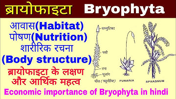 Bryophyta(ब्रायोफाइटा), लक्षण और आर्थिक महत्व, Economic importance of Bryophyta, Biology in hindi