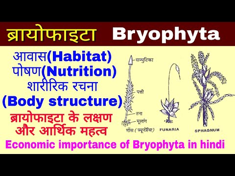 Bryophyta(ब्रायोफाइटा), लक्षण और आर्थिक महत्व, Economic importance of Bryophyta, Biology in hindi