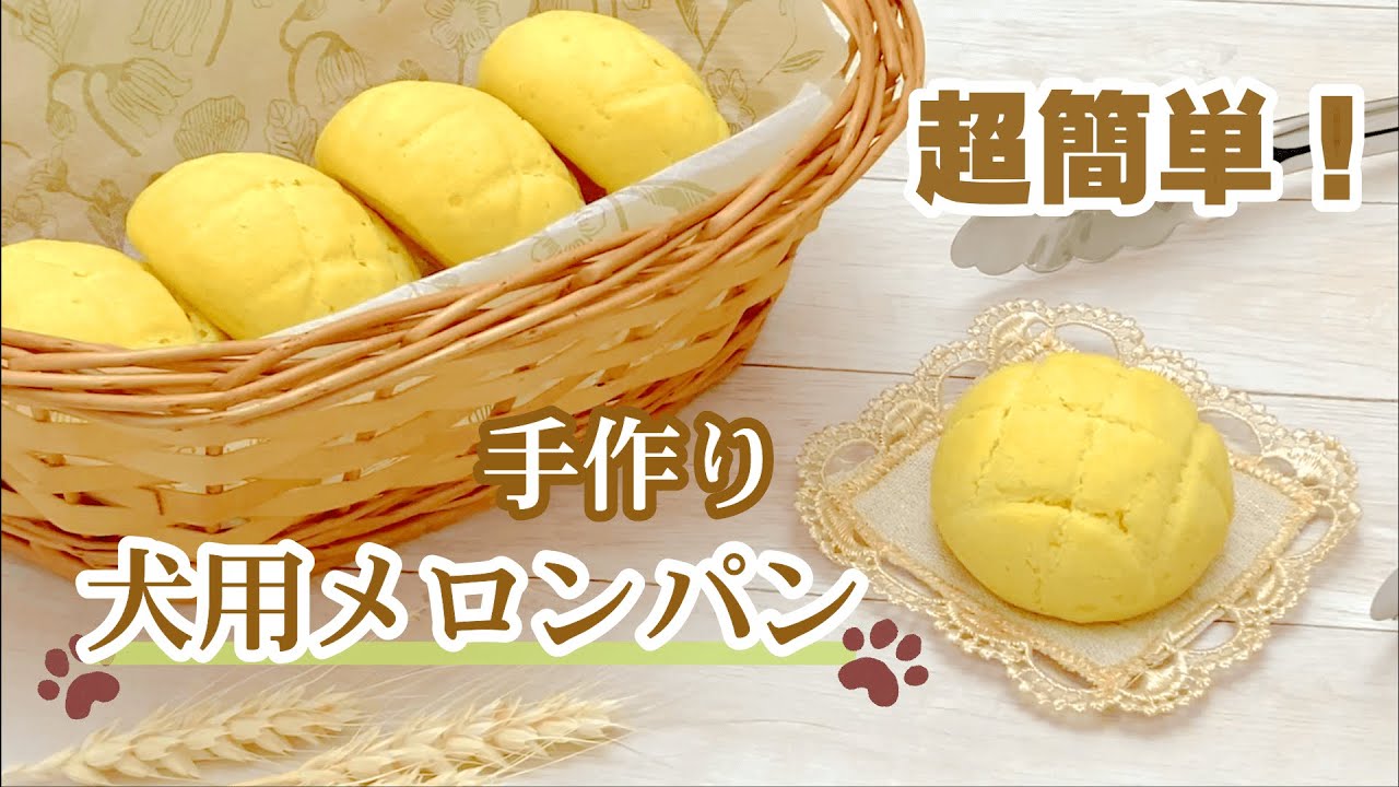 発酵不要 超簡単 手作り犬用メロンパン 飼い主さんも食べられるパン生地レシピ Youtube