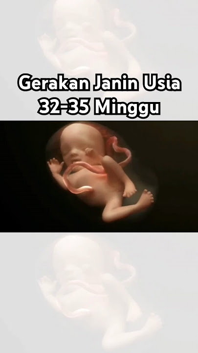 Gerakan Janin Usia 32-35 Minggu Di Dalam Kandungan