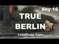 TRUE BERLIN day 16 Кладбище рождественских ёлок