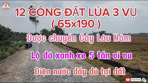 ( số 215 ) 12 công đất lúa 3 vụ - được chuyển cây lâu năm,xe 5tan vi vu ( 120tr/công ) tại Mộc Hóa
