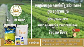 ជីធម្មជាតិ ដីមាស | ការផ្ដល់បច្ចេកទេសដាំបន្លែនៅសហគមន៍ក្នុងខេត្តស្វាយរៀង