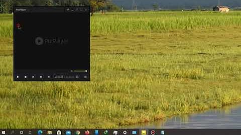 How to do Setup Potplayer 1.7.21 + External LAV Filters
