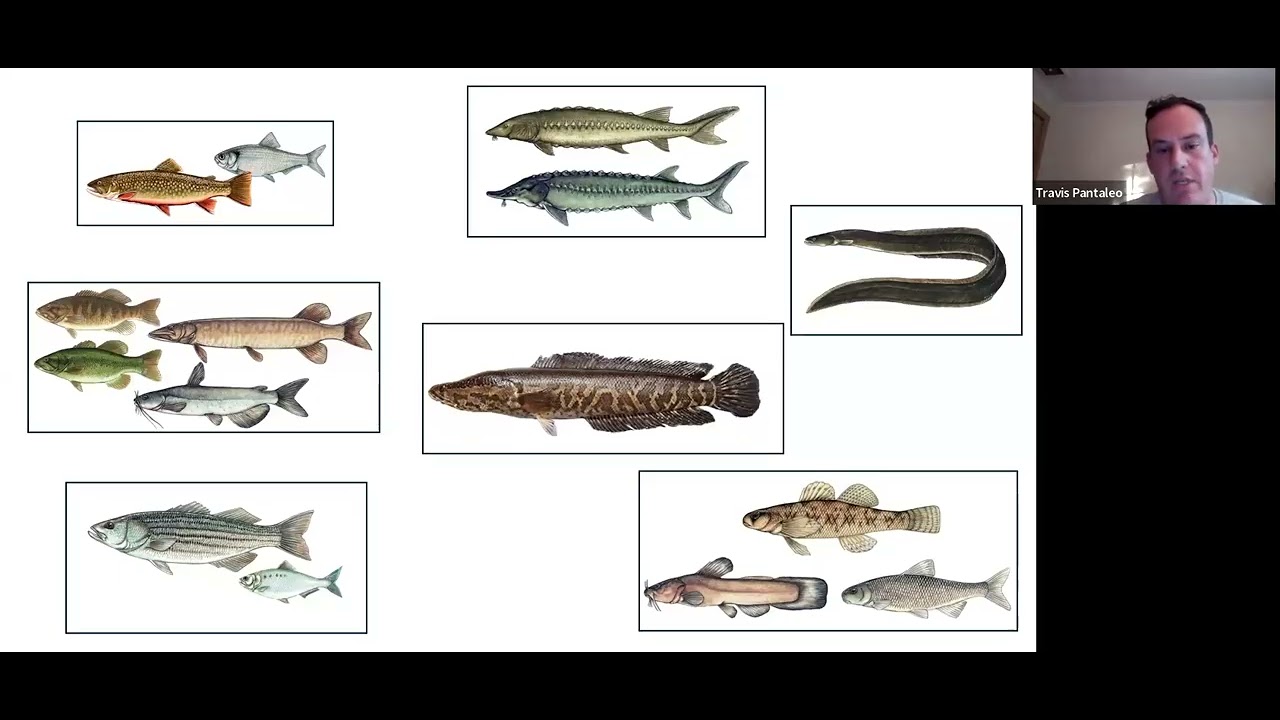 Heritage Lecture: Fish Tales: The Delaware and its Tributaries & Estuary by Travis Pantaleo