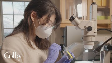 Opening a Window to Evolution