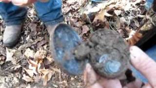 Cache of coins found while metal detecting LIVE!