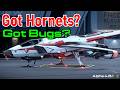 Got Hornets? Got Bugs? | Current Issues With The Anvil Hornet MK I & MK II | Star Citizen 4.8.1