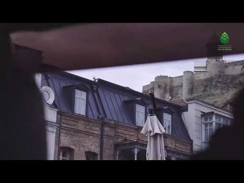 გირჩის აზრით