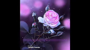 أن المسلمين والمسلمات والمؤمنين والمؤمنات سورة الأحزاب صوت جميل جدا حالات واتس اب ستوري Quran 