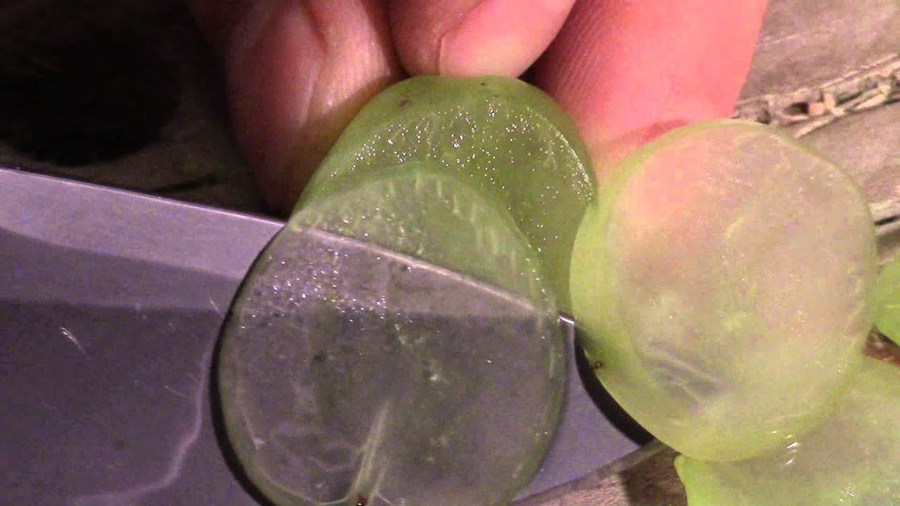 Worlds Sharpest Knife? Most satisfying video you'll ever watch! YouTube