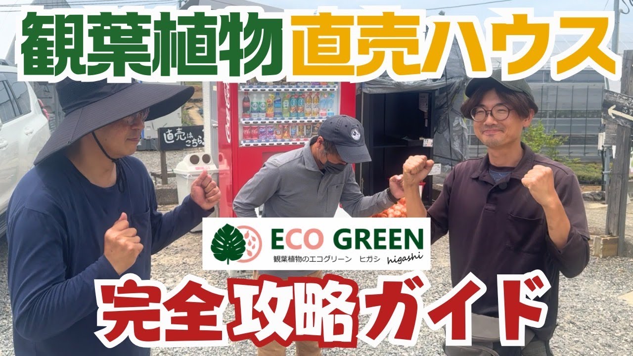 観葉植物直売ハウス｜完全攻略ガイド