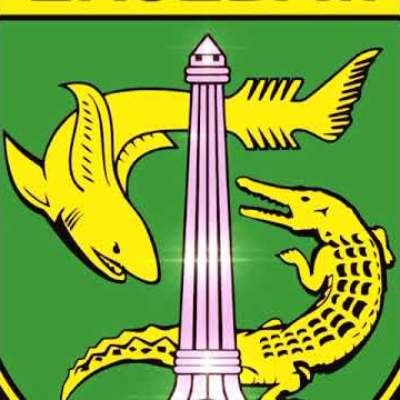 story WA Anniversary Persebaya 94 Tahun