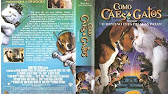 Como Cães e Gatos 3 wiki?