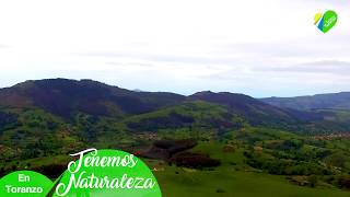 Los Montes del valle de Toranzo desde la pradera de Cavillas 🌳☘️🌳 Valle de Toranzo Cantabria