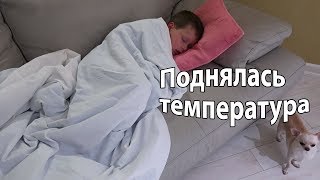 VLOG: Наше не веганское 8 марта (( / У Клима поднялась температура