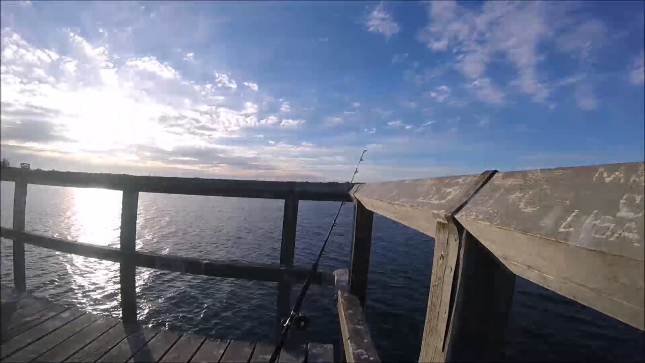 Garden Island Stingray Fishing South Australia Youtube
