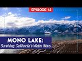 Mono Lake: Surviving California's Water Wars