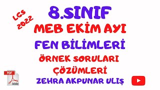 MEB EKİM Ayı Fen Bilimleri Örnek Sorular Çözümü/ LGS 2022