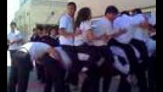 kamilos PESL 08