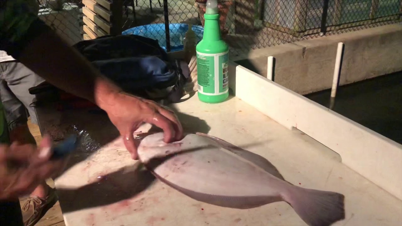 How to clean a flounder YouTube