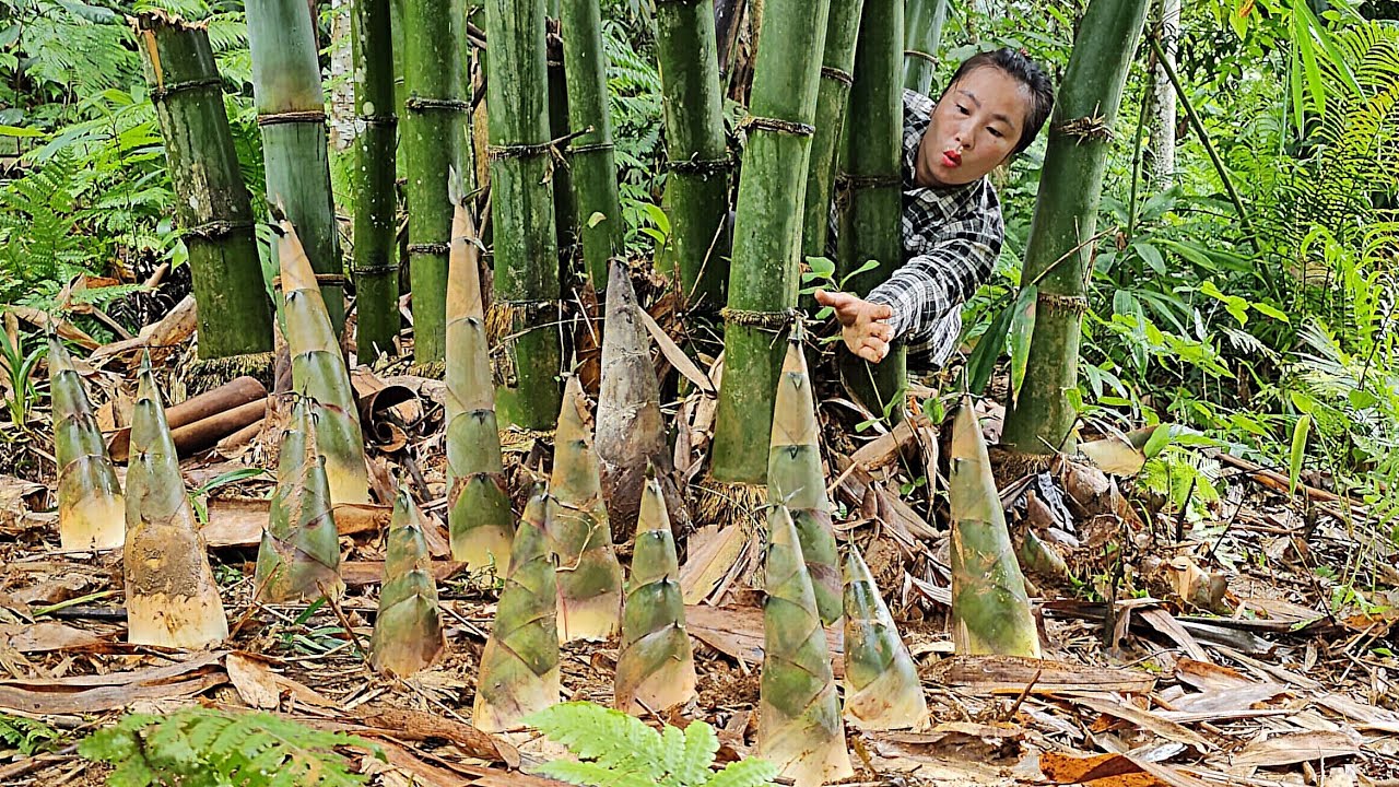 She and her daughter harvested 300 kg of bamboo shoots and took them to the market to sell.