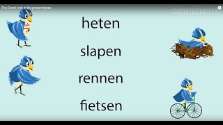 The Dutch verb in the present tense