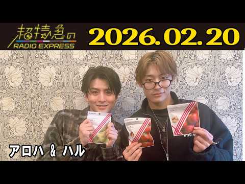 柏木悠 超特急 ハル BOYS FILE 缶バッジ バッチ BATTLEBOYS 超特急