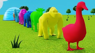 Cow Elephant Tiger Gorilla 3d Animal Long Slide Game Funny 3d Paint Animals Cage Game screenshot 4