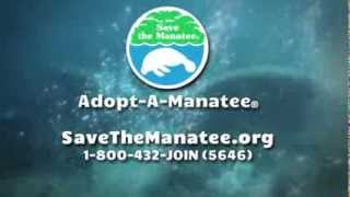 alec baldwin save the manatee club