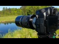 Tamron 500mm F8 Reflex Adaptall REVIEW