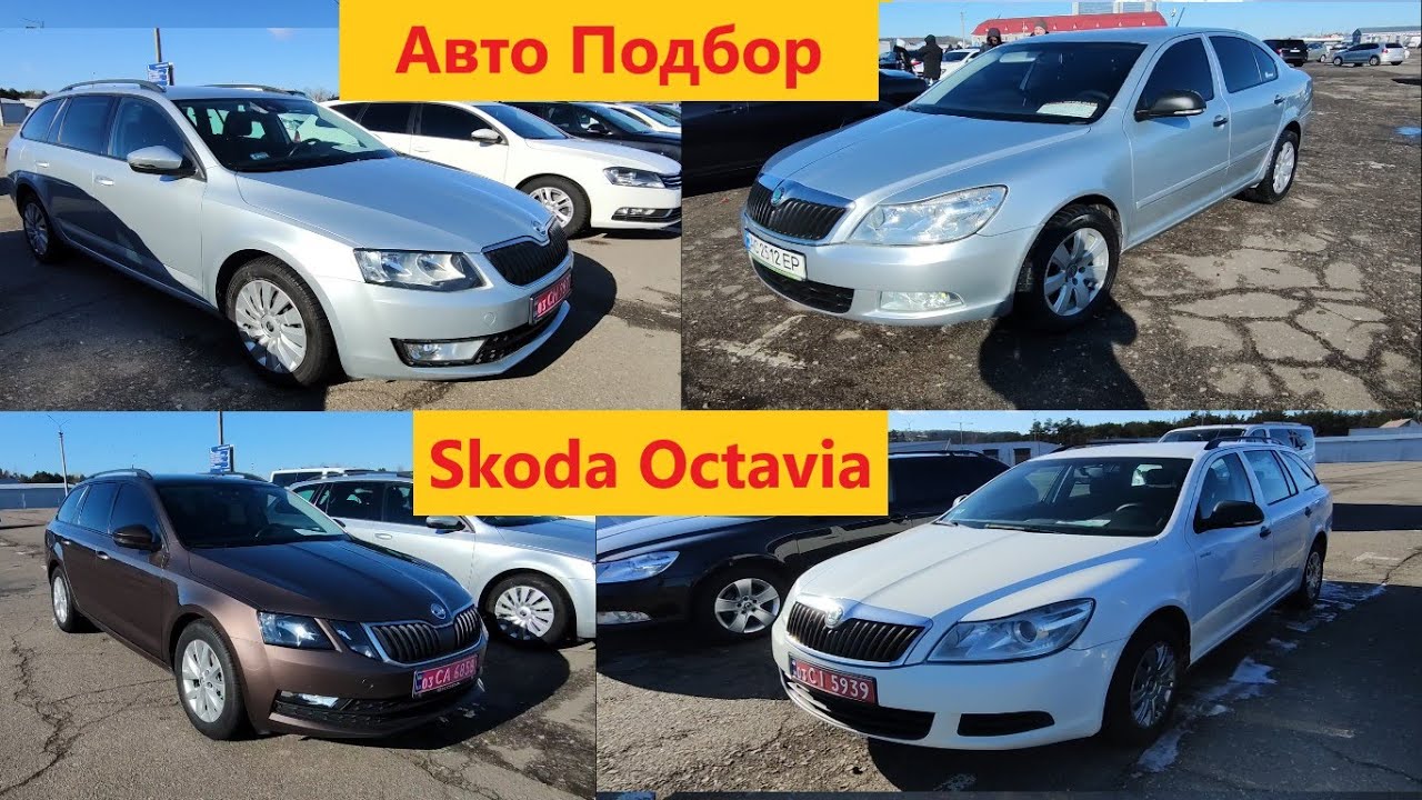 Шкода октавия автоподбор Шкода октавия автоподбор