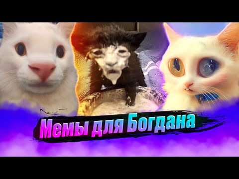 Прикол про богдана