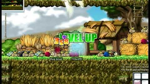 MapleKillers Private Server v62! * STILL UPDATING, AND RUNNING *