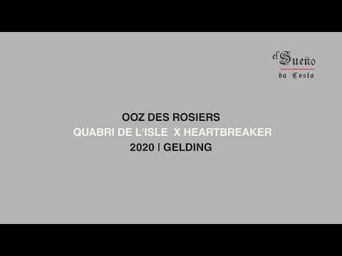 OOZ DES ROSIERS