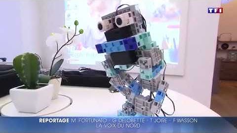 Apprendre à programmer avec des robots - JT TF1