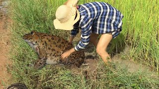 Smart Girl Make Deep Hole Bottle Frog Trap To Catch A Lot Of Frog